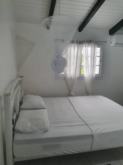 Le Sable Bleu - Evasion Tropicale A Sainte-Anne - Plage 5Min - Piscine - Parking - Logement Climatise - Vue Sur Les Palmiers - Parfait Pour Sejours En Famille Ou Entre Amis Exterior photo