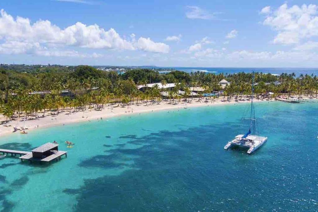 Le Sable Bleu - Evasion Tropicale A Sainte-Anne - Plage 5Min - Piscine - Parking - Logement Climatise - Vue Sur Les Palmiers - Parfait Pour Sejours En Famille Ou Entre Amis Exterior photo