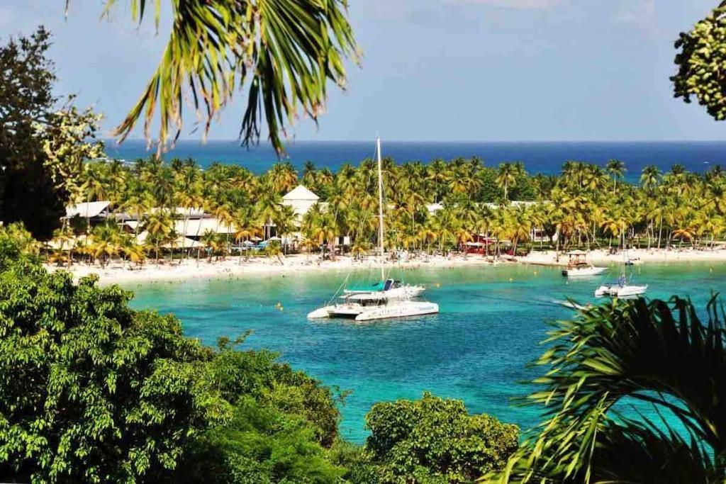 Le Sable Bleu - Evasion Tropicale A Sainte-Anne - Plage 5Min - Piscine - Parking - Logement Climatise - Vue Sur Les Palmiers - Parfait Pour Sejours En Famille Ou Entre Amis Exterior photo